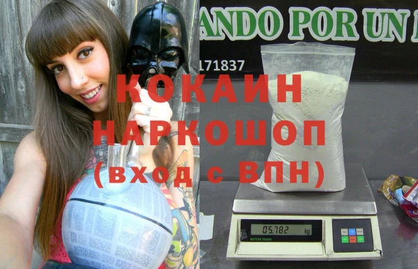 ешки Бородино