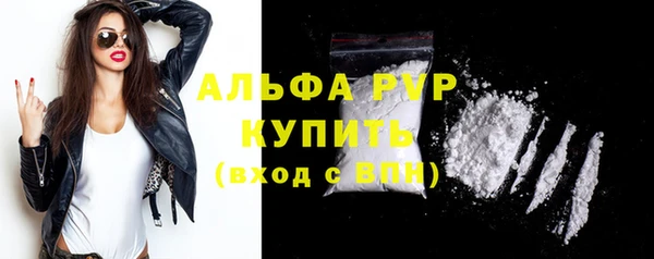 ешки Бородино