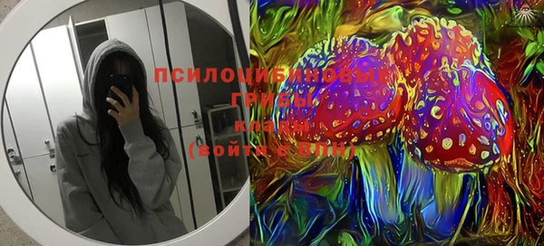 ешки Бородино
