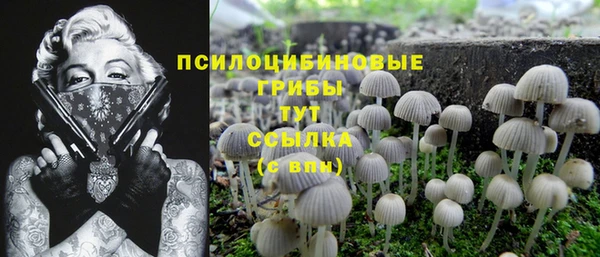 твердый Верхний Тагил