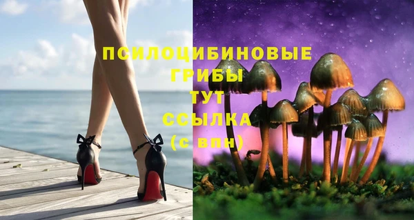 амф Бронницы