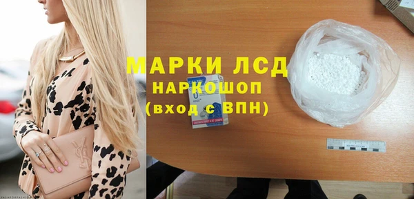 ешки Бородино